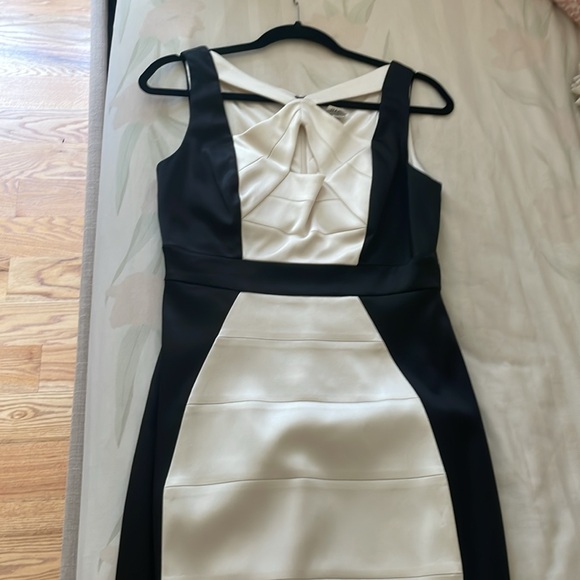 Beautiful Cache Dress, worn once and dry cleaned, silhouette detail! Beautiful - Picture 5 of 6